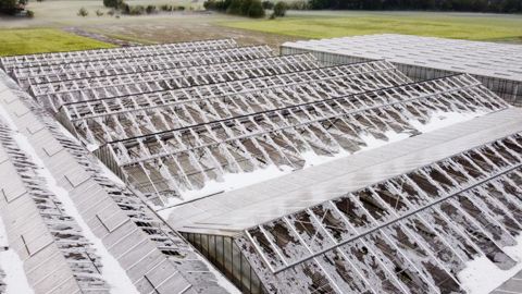 Dans la région de Reutlingen, en Allemagne, le 23 juin 2dernier, des grêlons parfois de la taille d’une balle de tennis ont détruit notamment la toiture en Plexiglas d’une grande serre horticole. ©GV